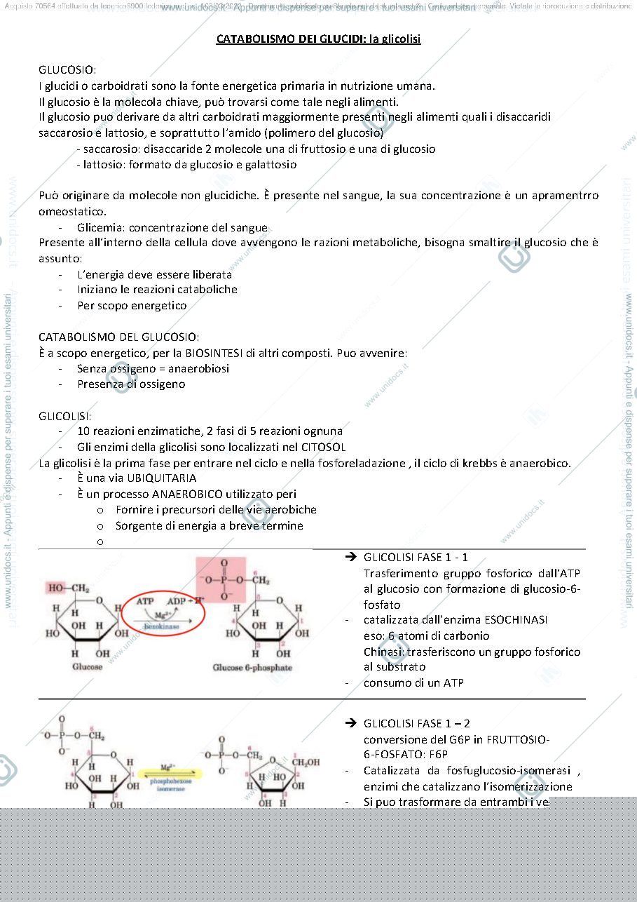 Anteprima pagina 3 — BIOCHIMICA 