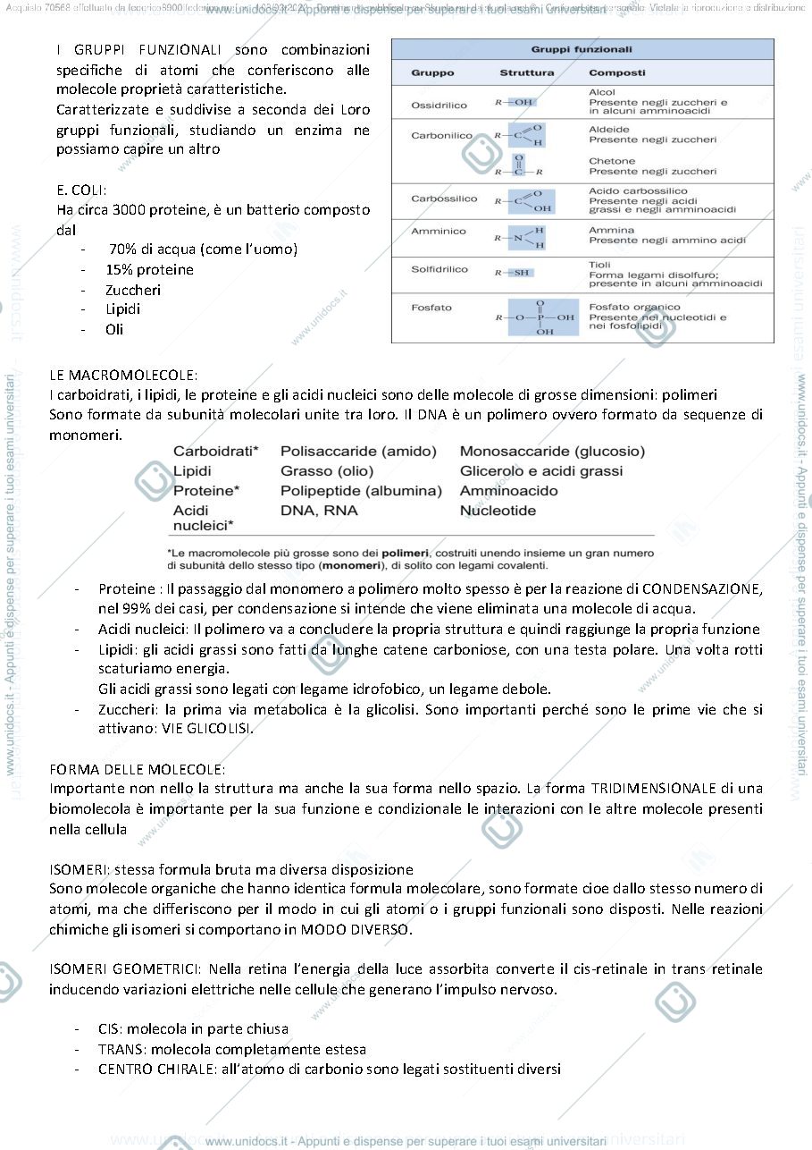 Anteprima pagina 2 — BIOCHIMICA 