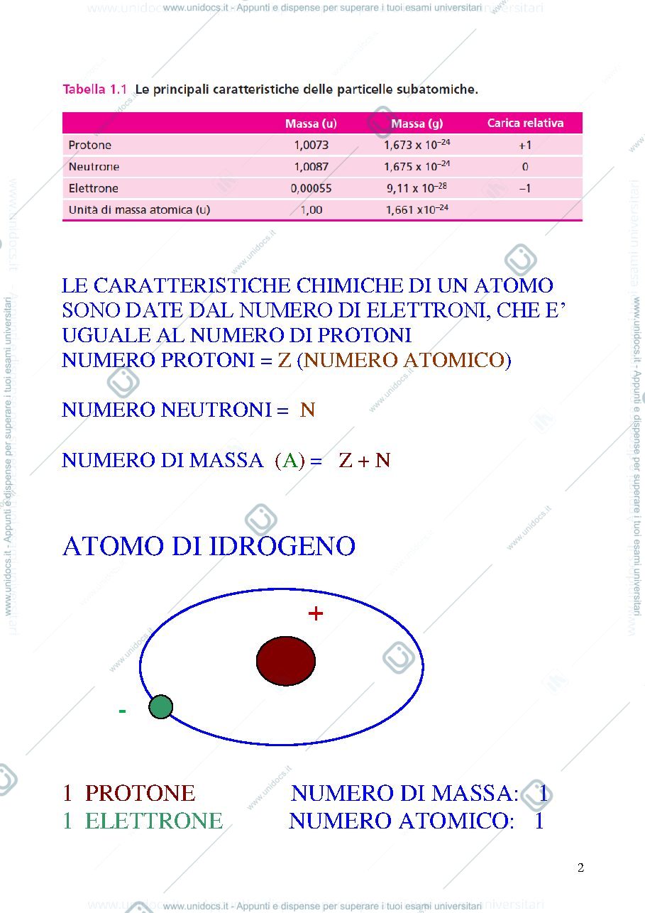 Anteprima pagina 2 — Appunti Biochimica