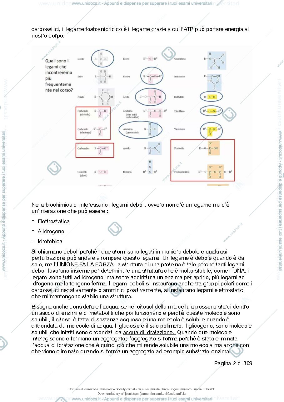 Anteprima pagina 3 — biochimica