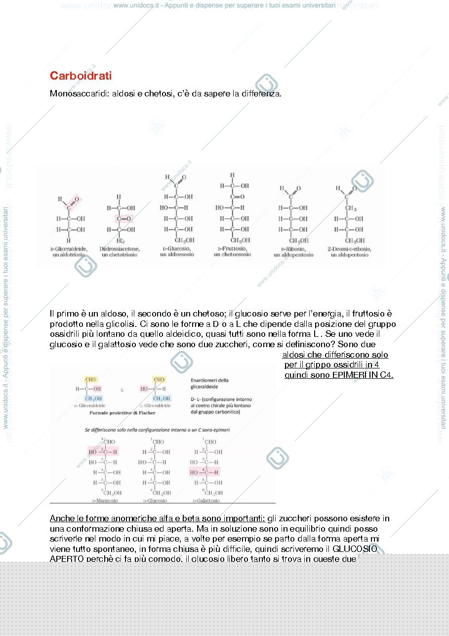 Anteprima pagina 5 — biochimica