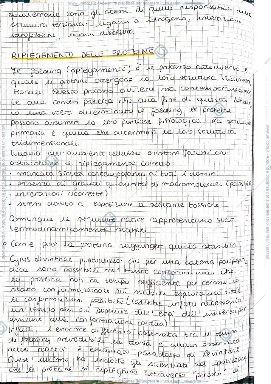 Anteprima pagina 1 — Ripegamento delle proteine