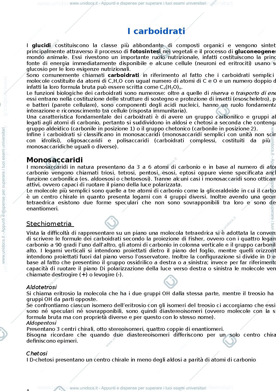 Anteprima pagina 1 — Biochimica 