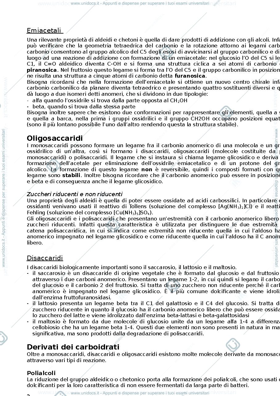 Anteprima pagina 2 — Biochimica 