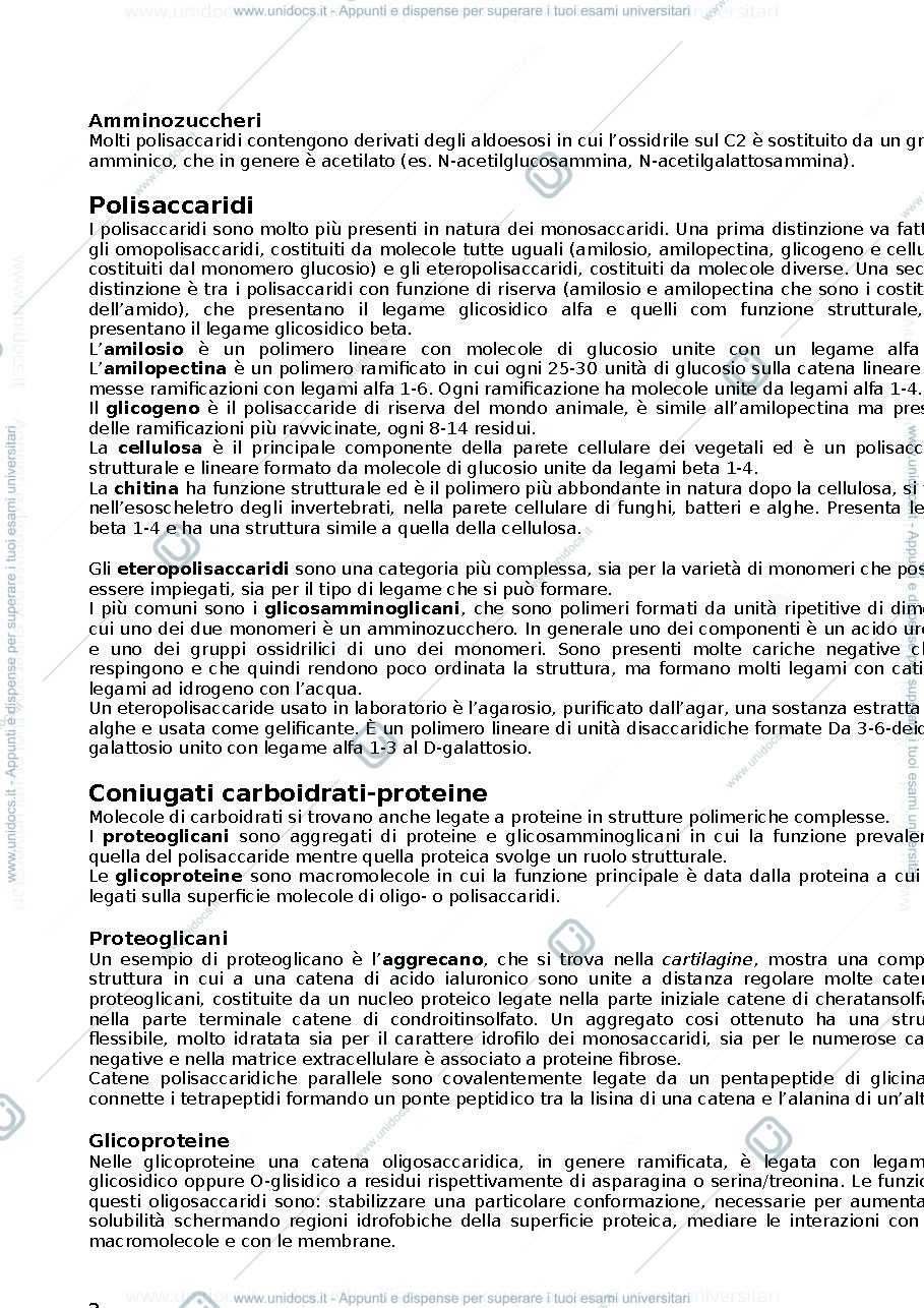 Anteprima pagina 3 — Biochimica 