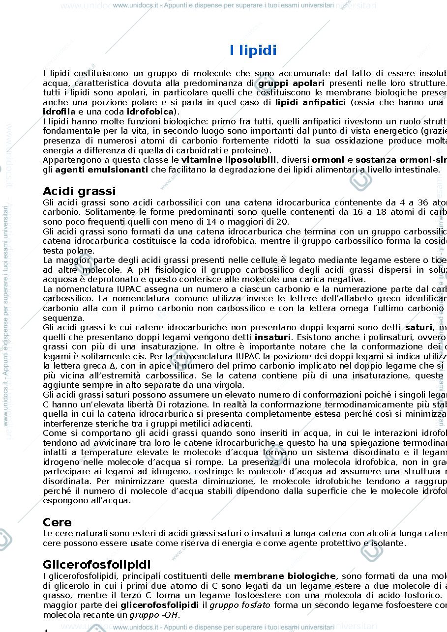 Anteprima pagina 4 — Biochimica 