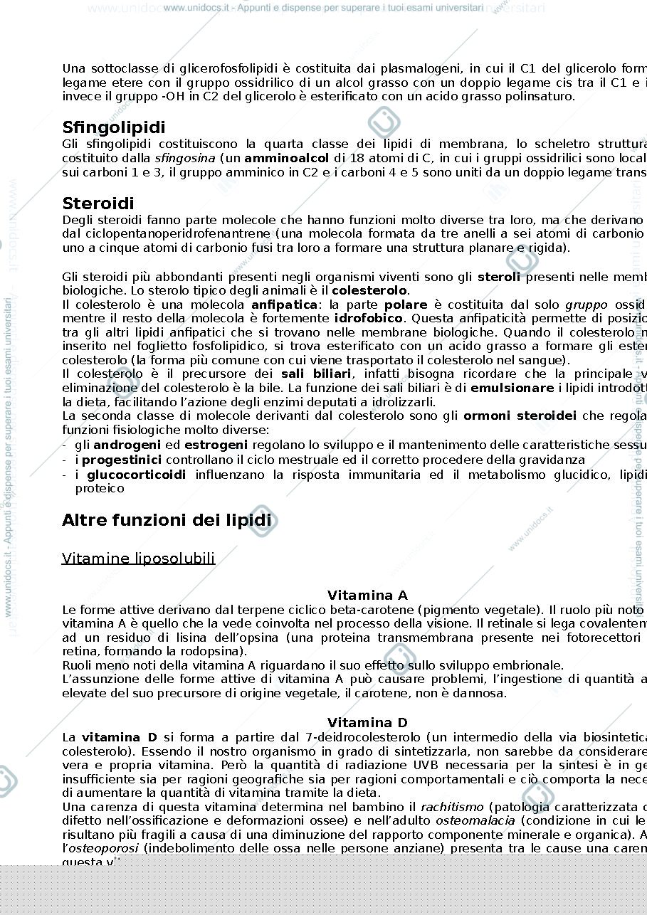 Anteprima pagina 5 — Biochimica 