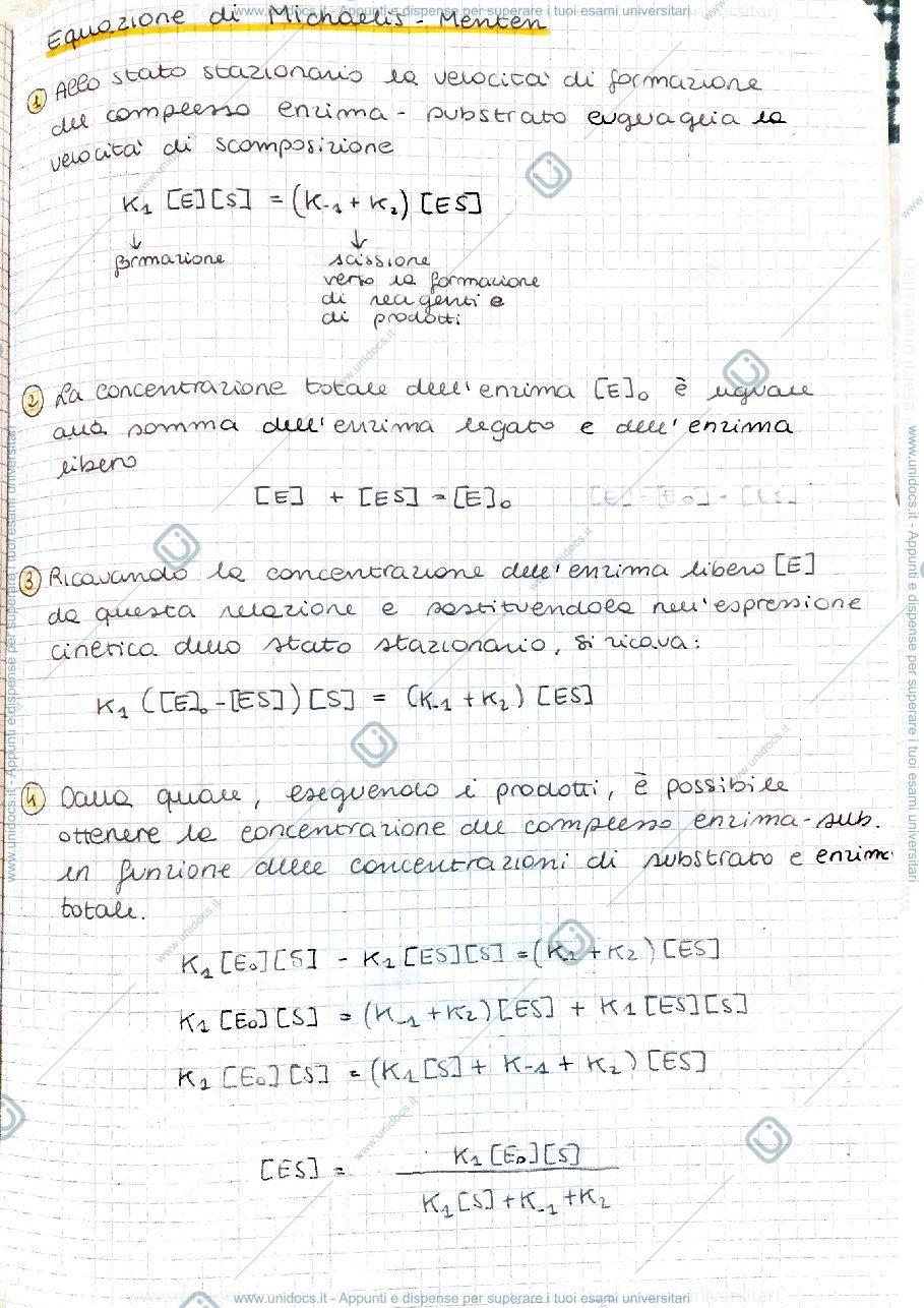 Anteprima pagina 1 — Cinetica di Michaelis-Menten