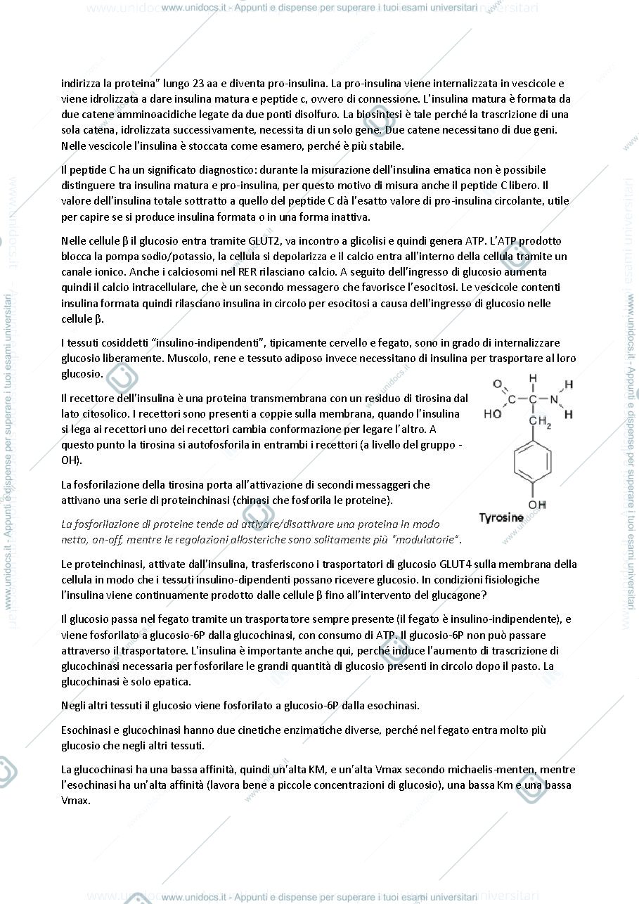 Anteprima pagina 3 — Biochimica delle malattie metaboliche -modulo 2, prof Ghidoni e Paroni