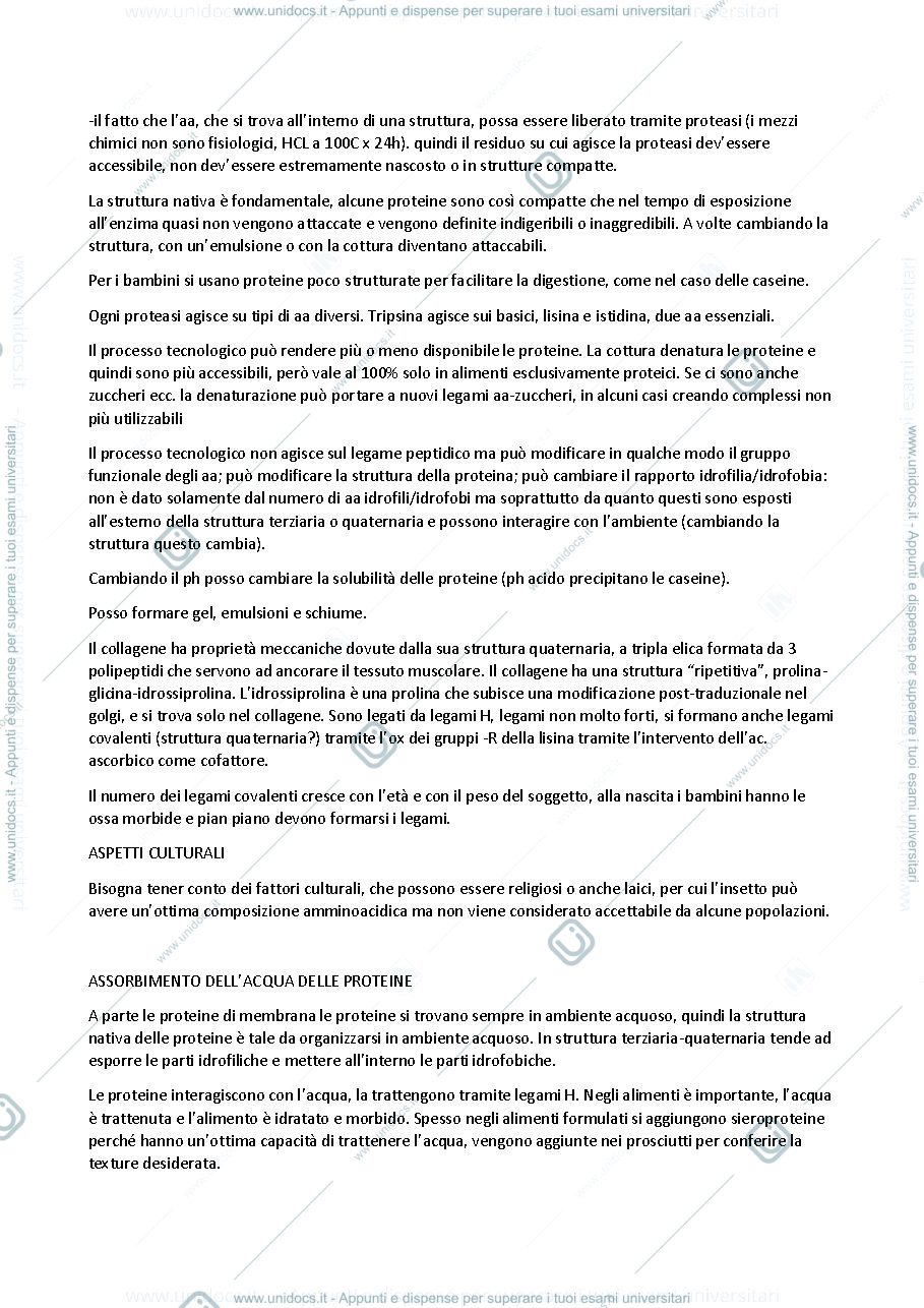 Anteprima pagina 2 — Biochimica degli alimenti, modulo 1 (prof. Iametti)