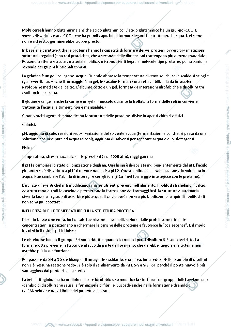 Anteprima pagina 3 — Biochimica degli alimenti, modulo 1 (prof. Iametti)