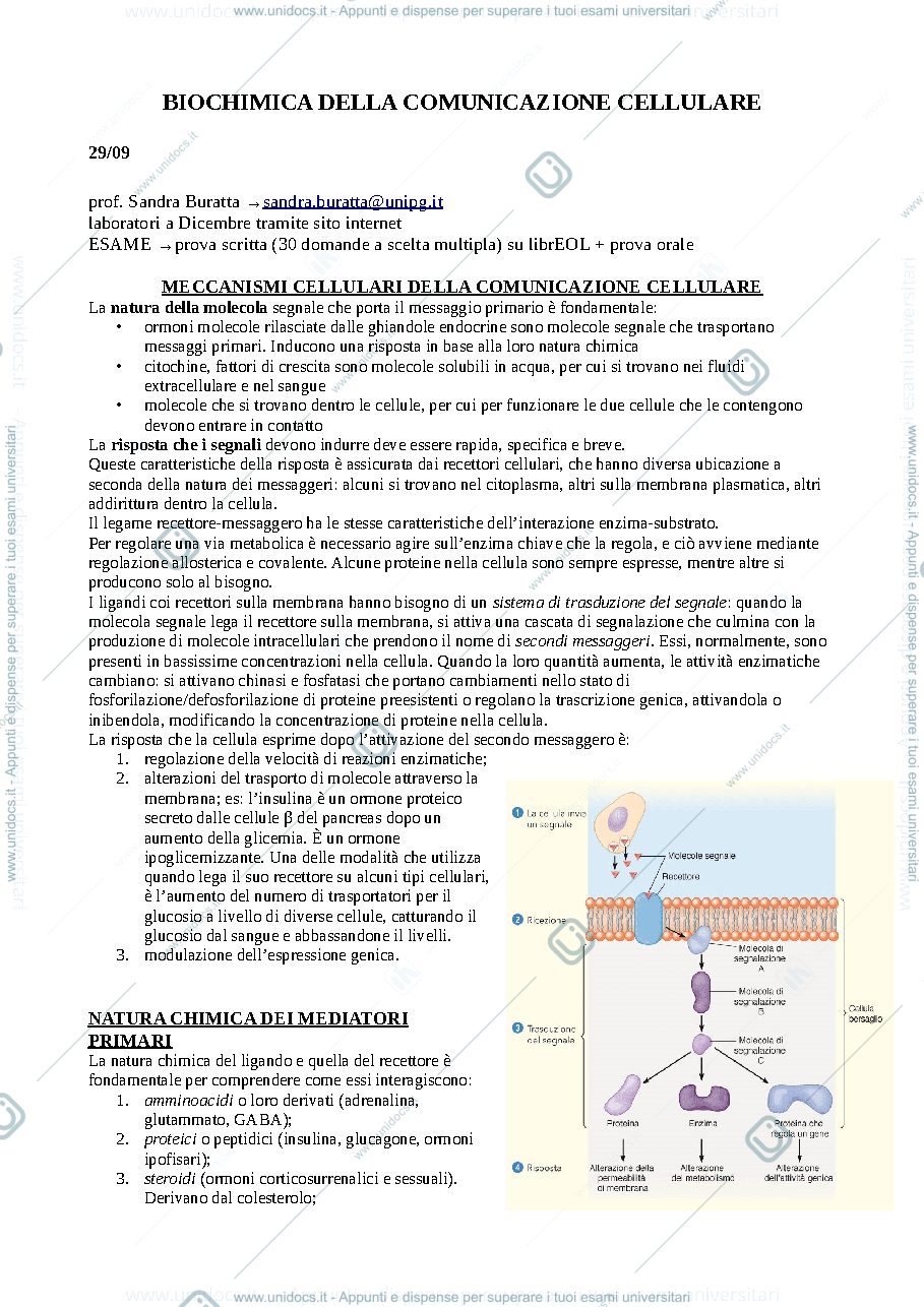 Anteprima pagina 1 — biochimica comunicazione cellulare 
