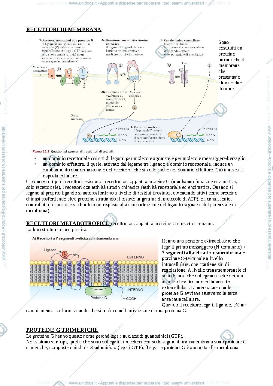 Anteprima pagina 3 — biochimica comunicazione cellulare 