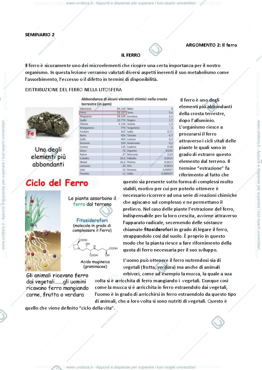 Anteprima pagina 1 — metabolismo del ferro
