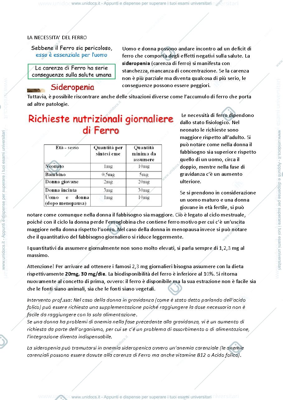 Anteprima pagina 3 — metabolismo del ferro