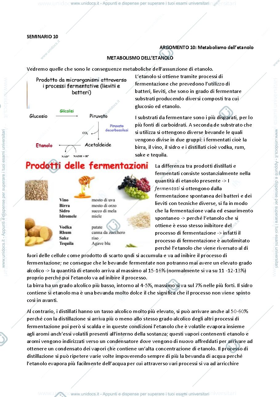 Anteprima pagina 1 — metabolismo dell'etanolo