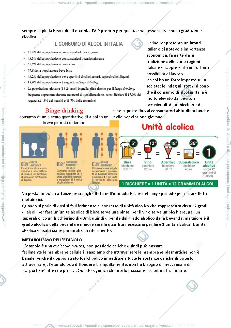 Anteprima pagina 2 — metabolismo dell'etanolo
