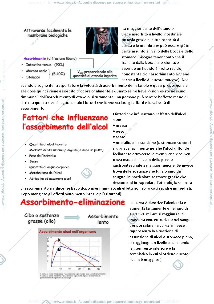 Anteprima pagina 3 — metabolismo dell'etanolo