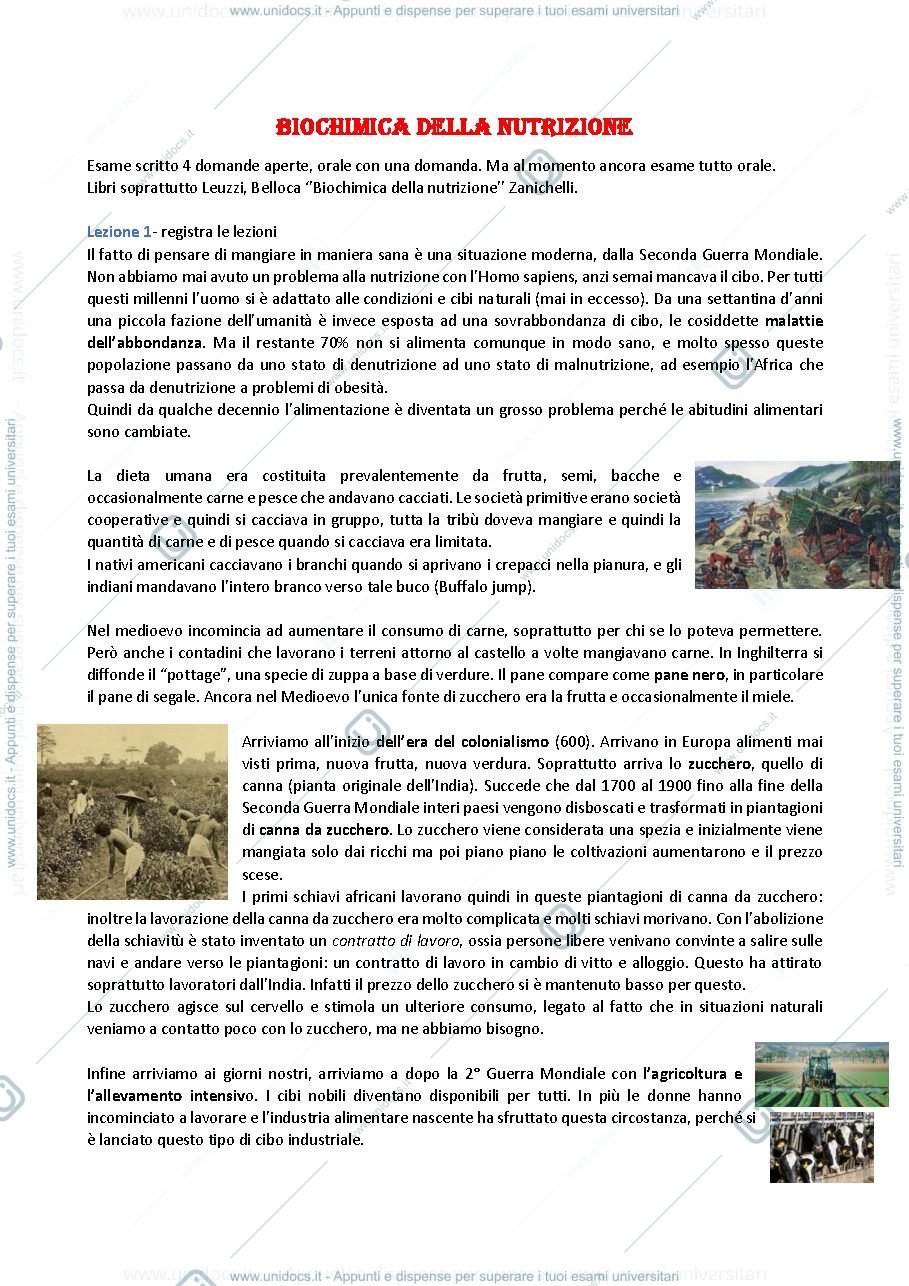 Anteprima pagina 1 — Biochimica della nutrizione riassunto