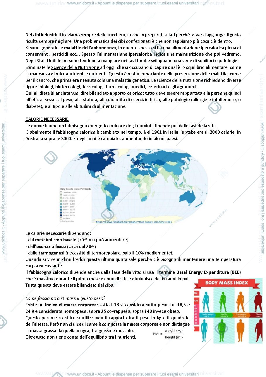 Anteprima pagina 2 — Biochimica della nutrizione riassunto