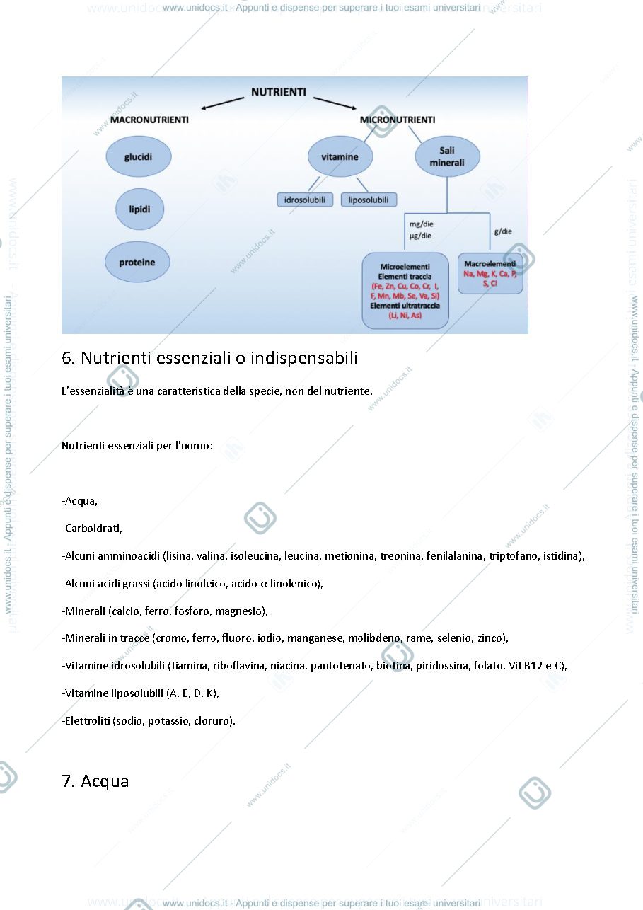 Anteprima pagina 3 — Biochimica della nutrizione 