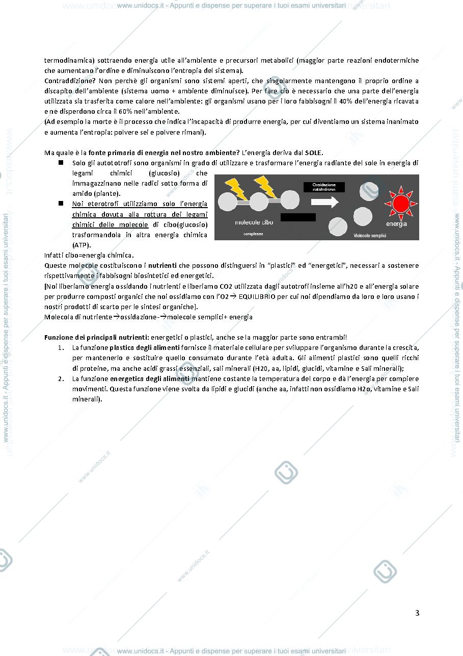 Anteprima pagina 3 — Biochimica della nutrizione codini 