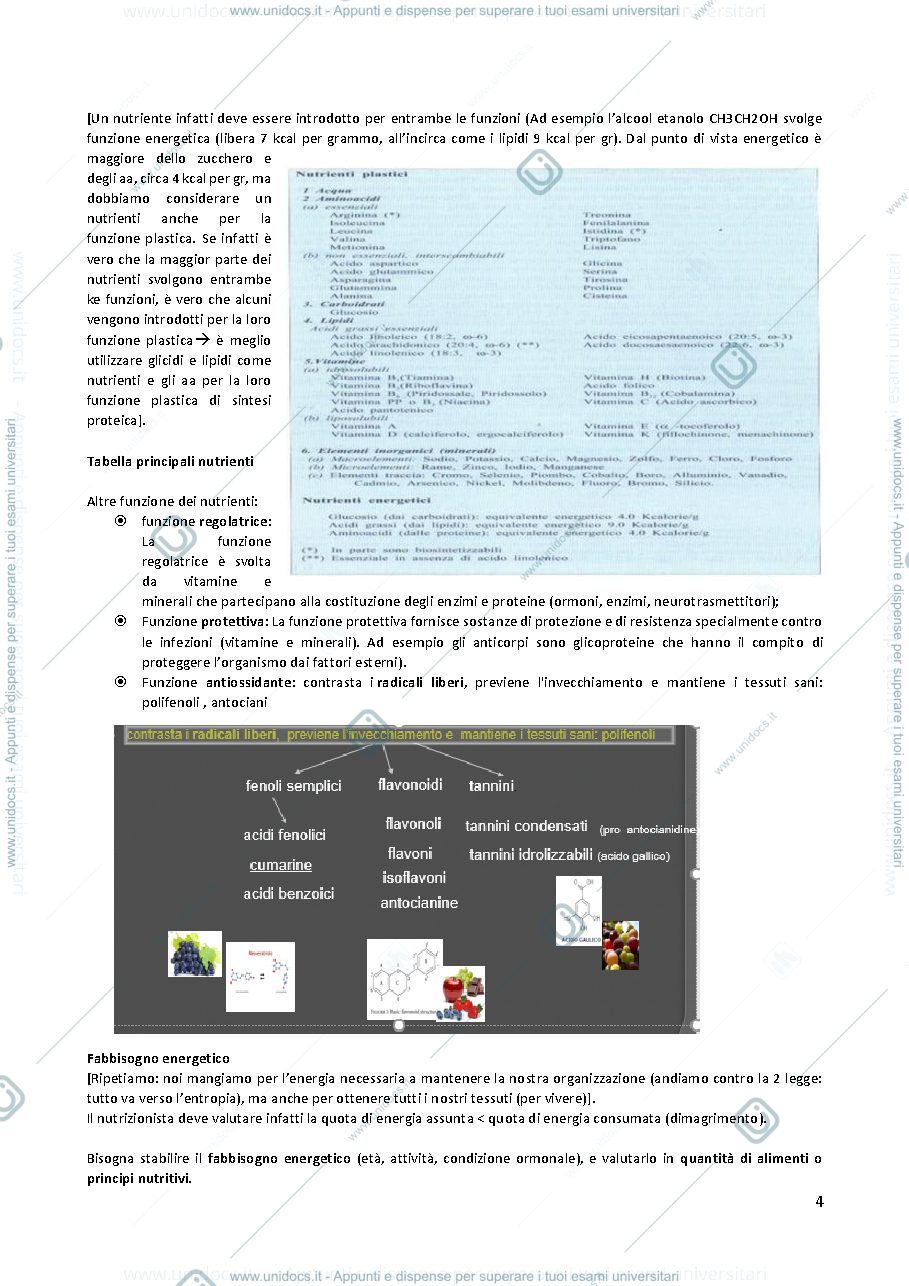 Anteprima pagina 4 — Biochimica della nutrizione codini 