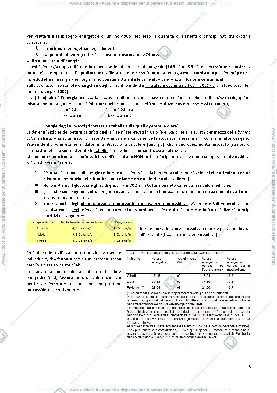 Anteprima pagina 5 — Biochimica della nutrizione codini 