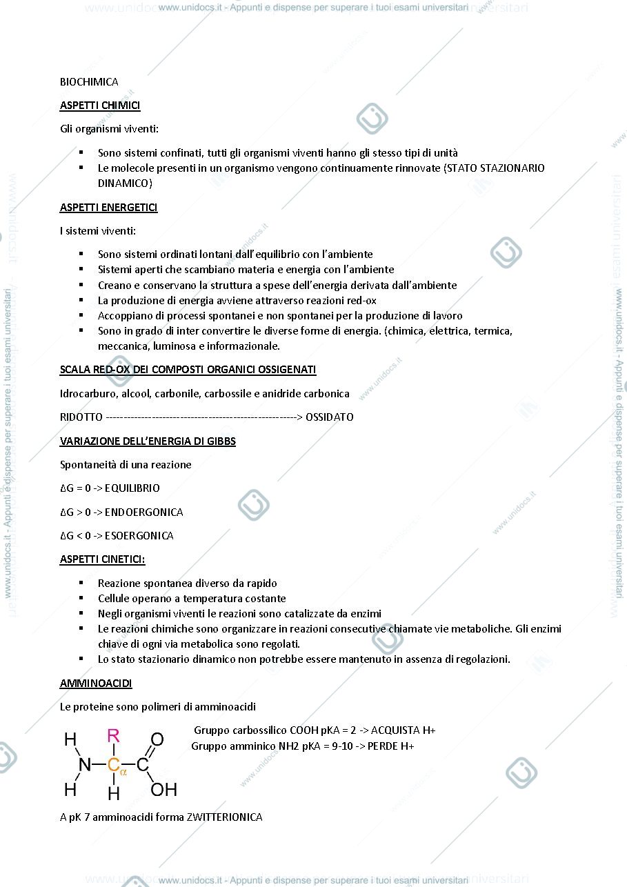 Anteprima pagina 1 — Appunti di Biochimica modulo 1 primo anno  2024-25