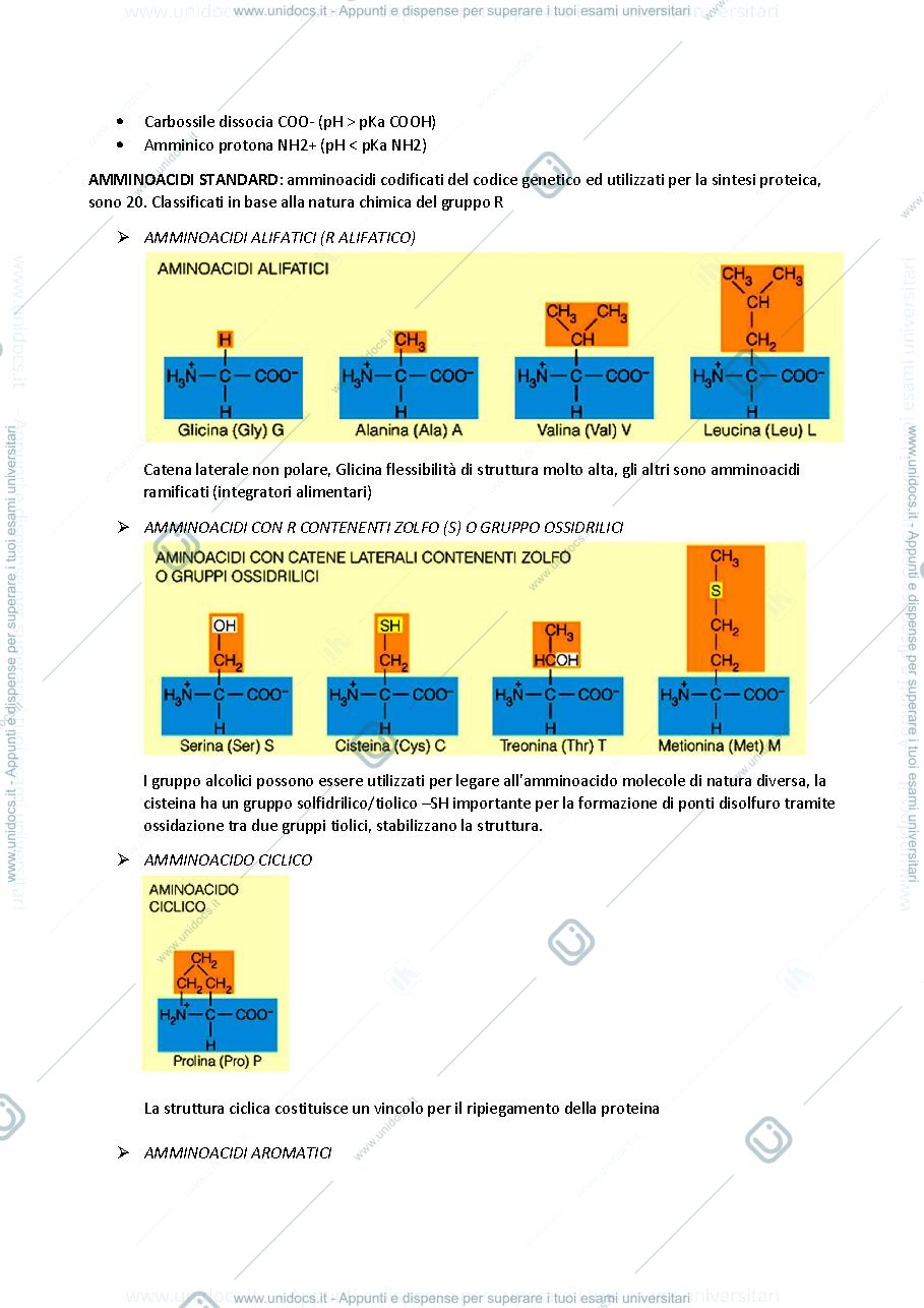 Anteprima pagina 2 — Appunti di Biochimica modulo 1 primo anno  2024-25