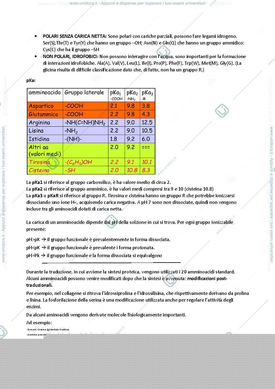 Anteprima pagina 4 — Appunti di Biochimica modulo 1 primo anno  2024-25