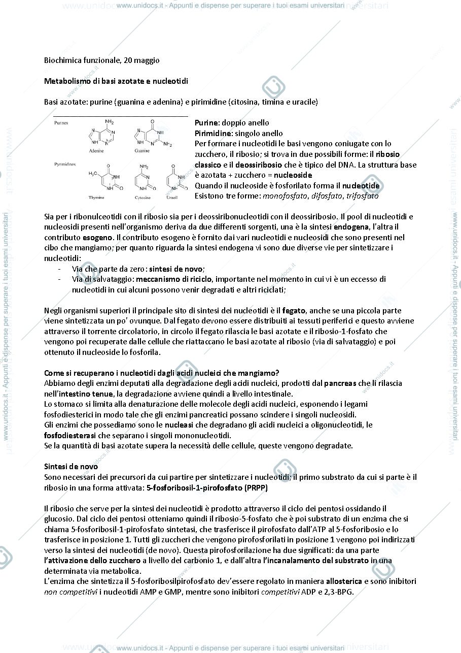 Anteprima pagina 1 — Sintesi degli acidi nucleici 