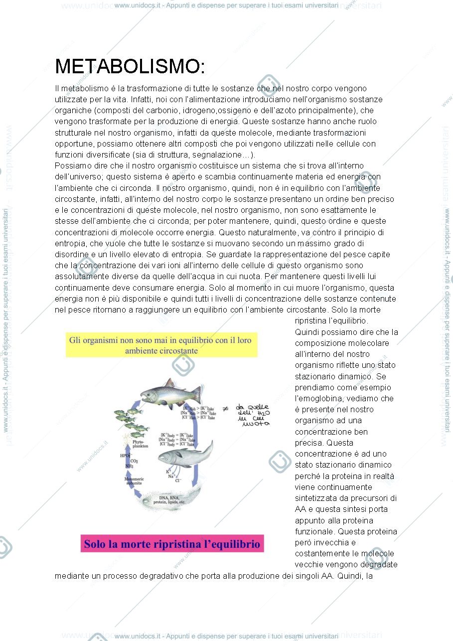 Anteprima pagina 1 — Metabolismo