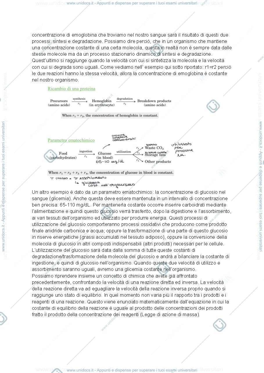 Anteprima pagina 2 — Metabolismo
