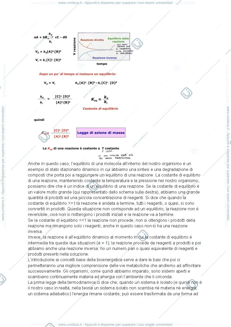 Anteprima pagina 3 — Metabolismo