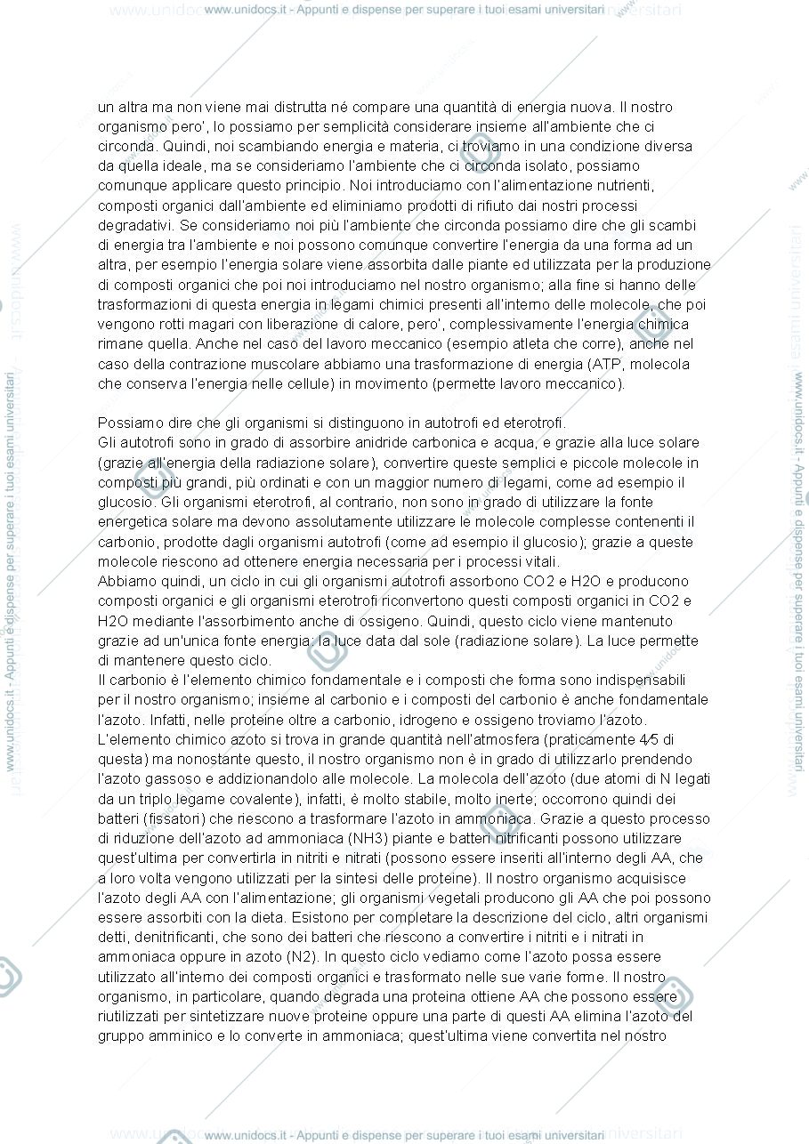 Anteprima pagina 4 — Metabolismo