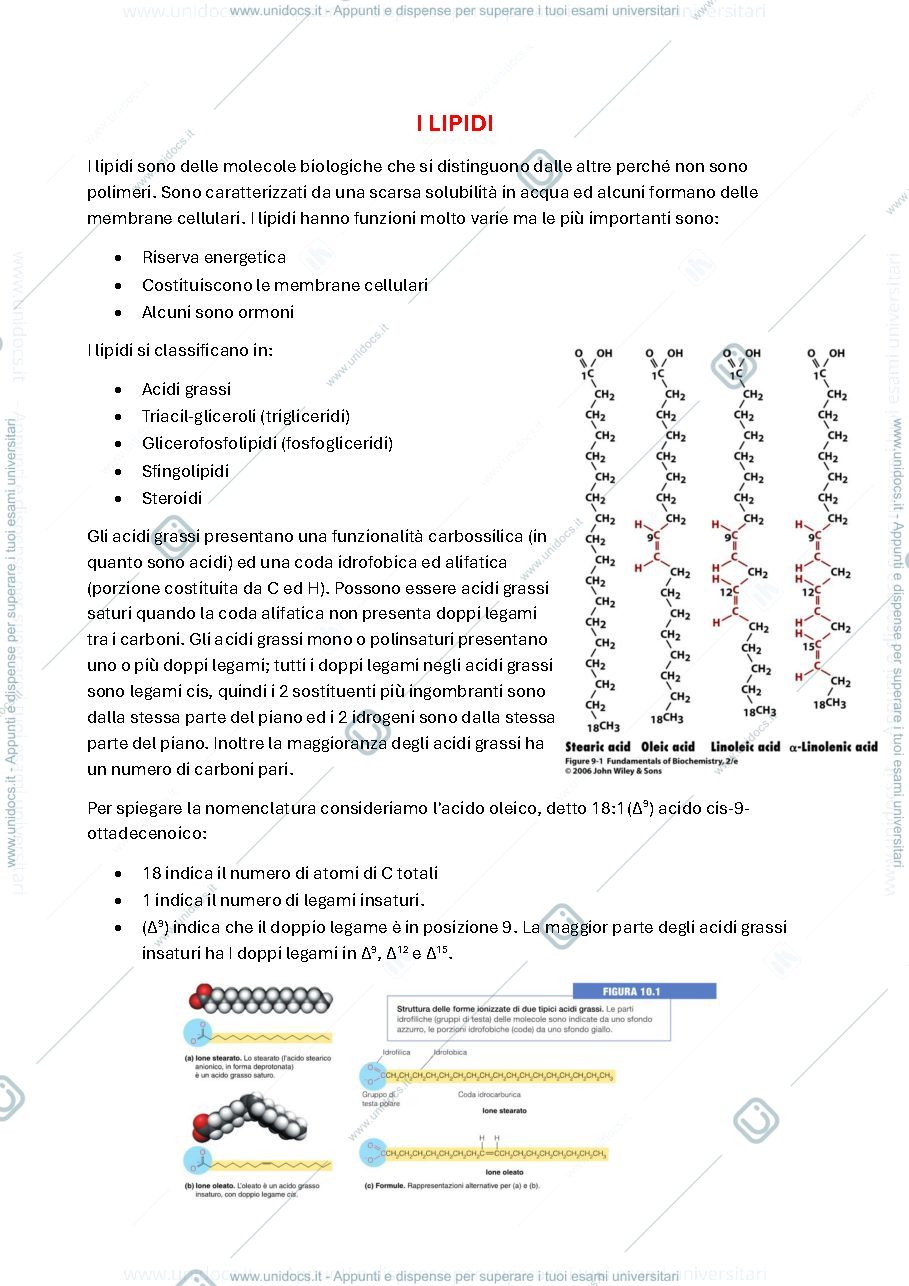 Anteprima pagina 1 — I lipidi - biochimica generale