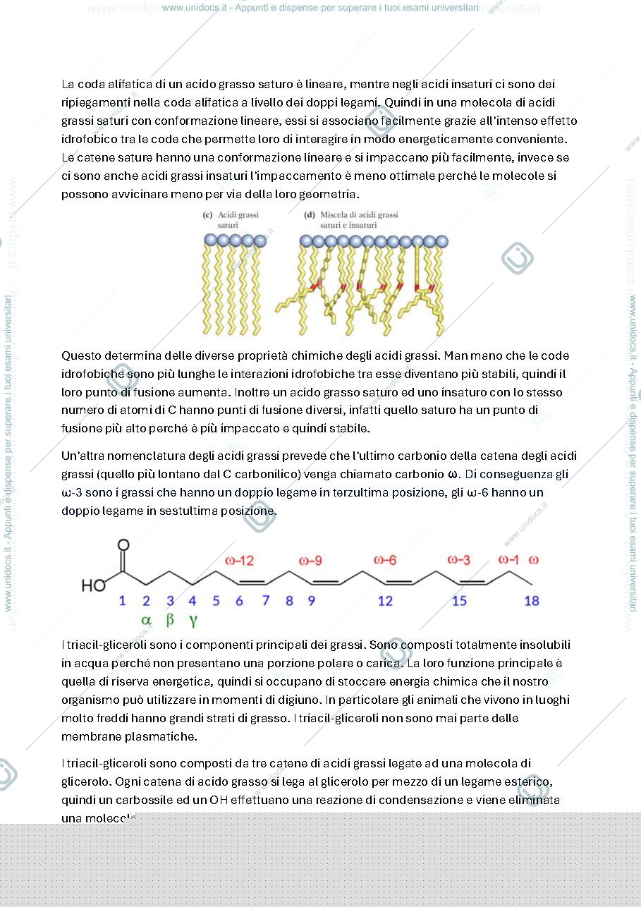 Anteprima pagina 2 — I lipidi - biochimica generale