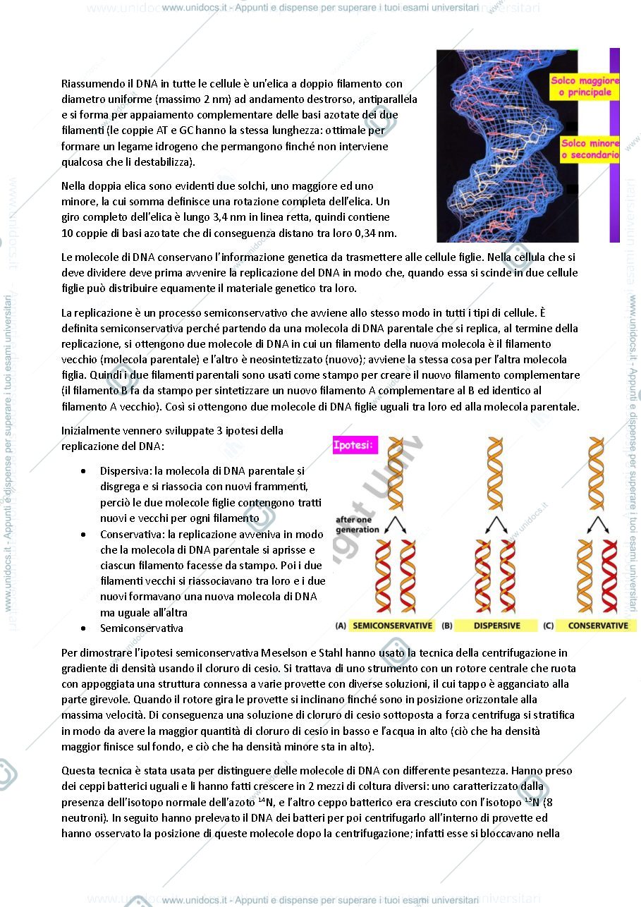 Anteprima pagina 3 — Acidi nucleici e replicazione del DNA - biochimica generale e molecolare