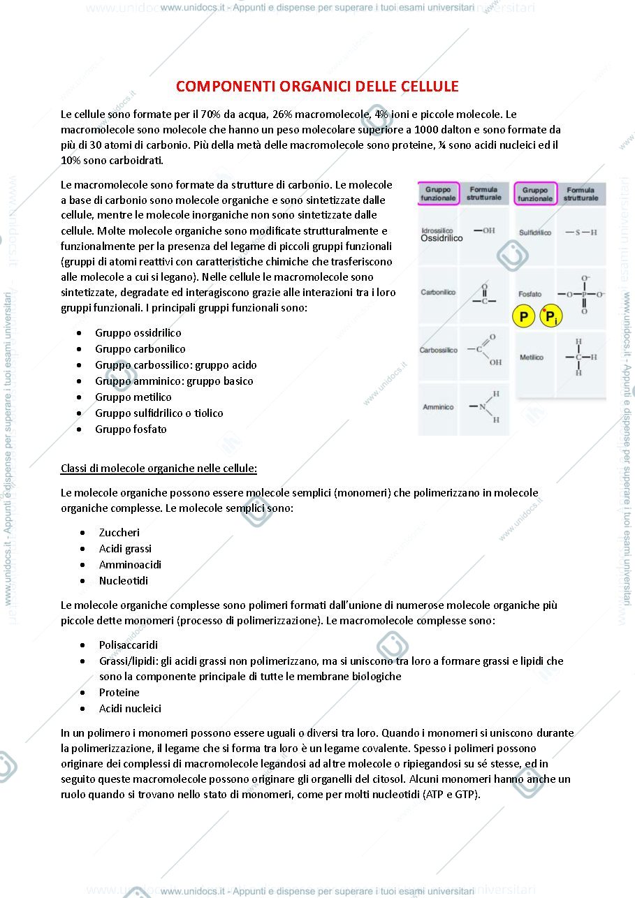 Anteprima pagina 1 — Carboidrati e proteine - biochimica generale