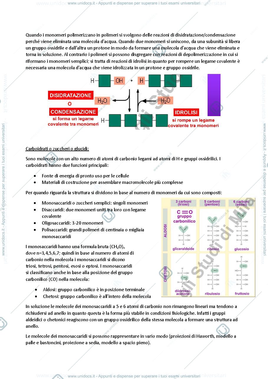 Anteprima pagina 2 — Carboidrati e proteine - biochimica generale