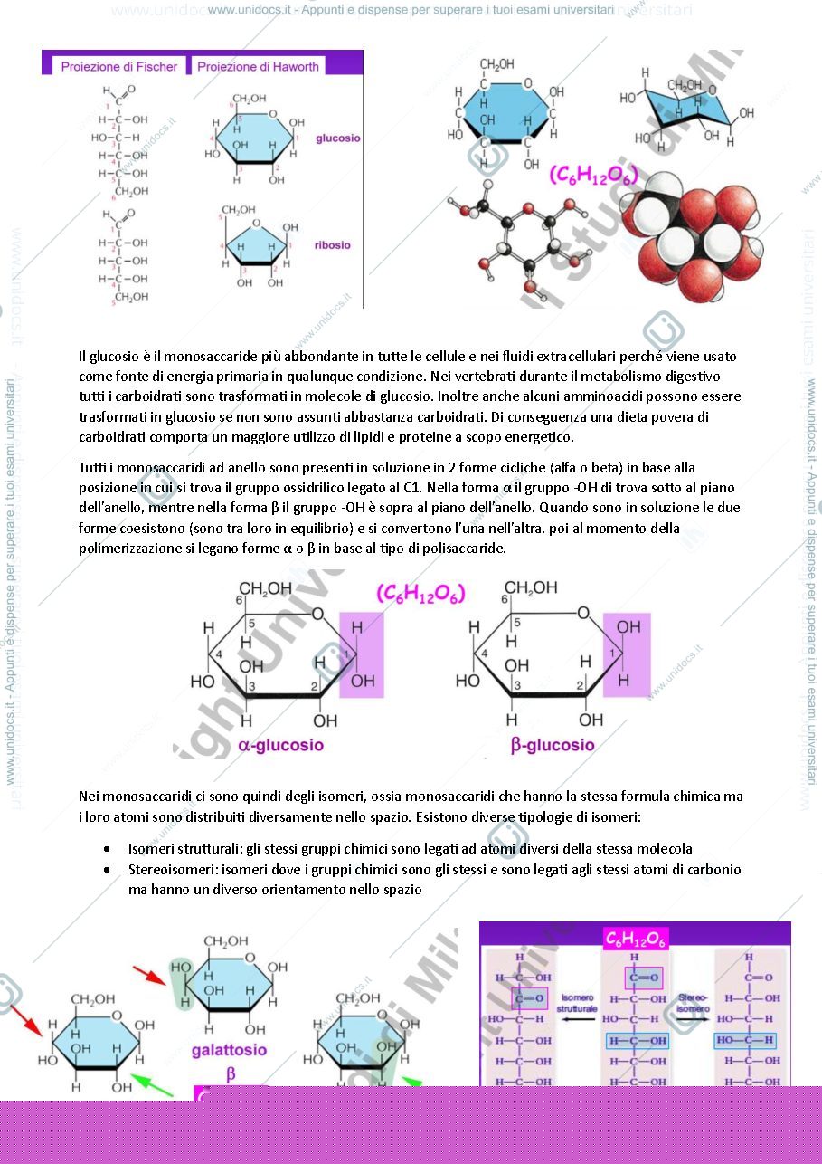 Anteprima pagina 3 — Carboidrati e proteine - biochimica generale