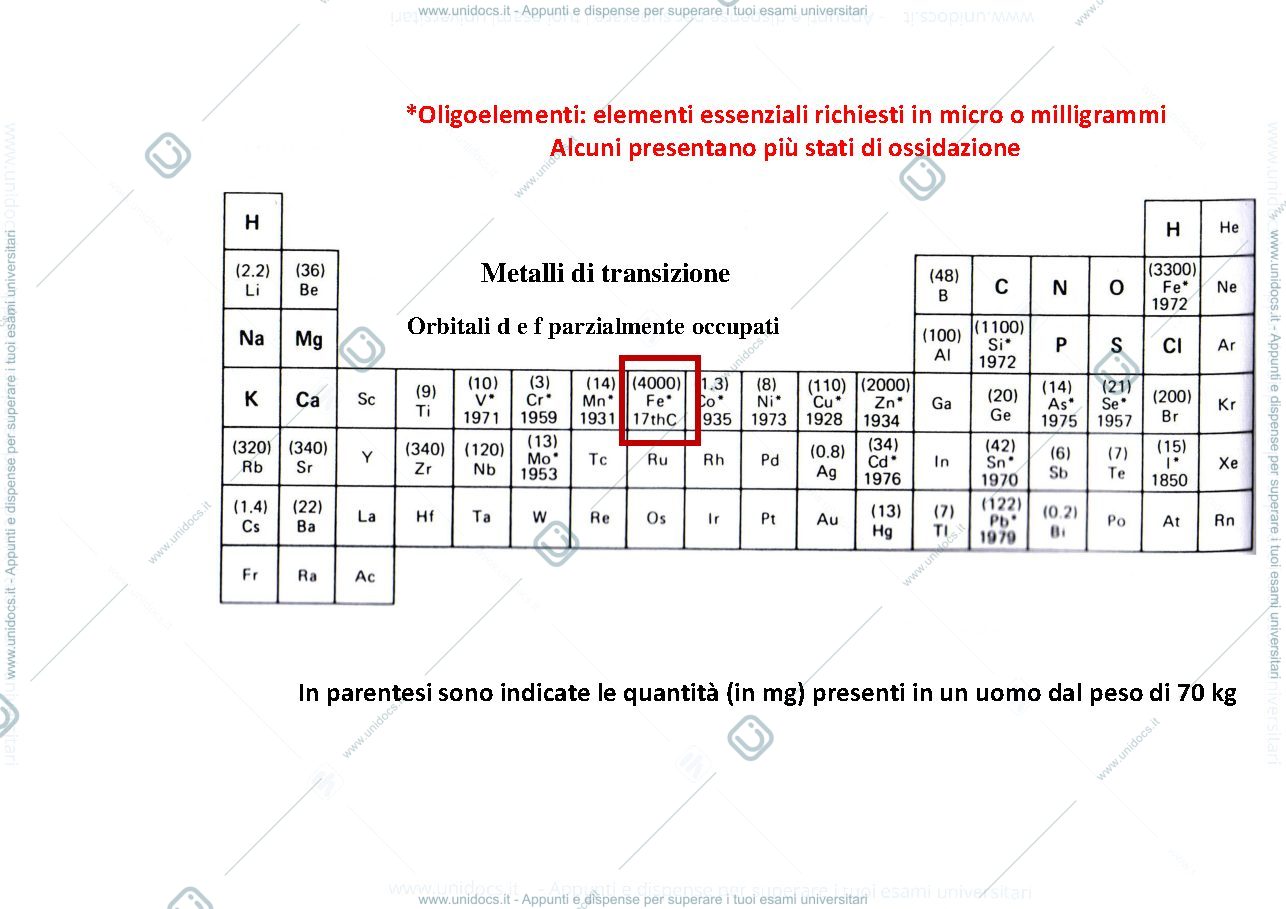Anteprima pagina 2 — Omeostasi_del_Ferro_e_porfirie