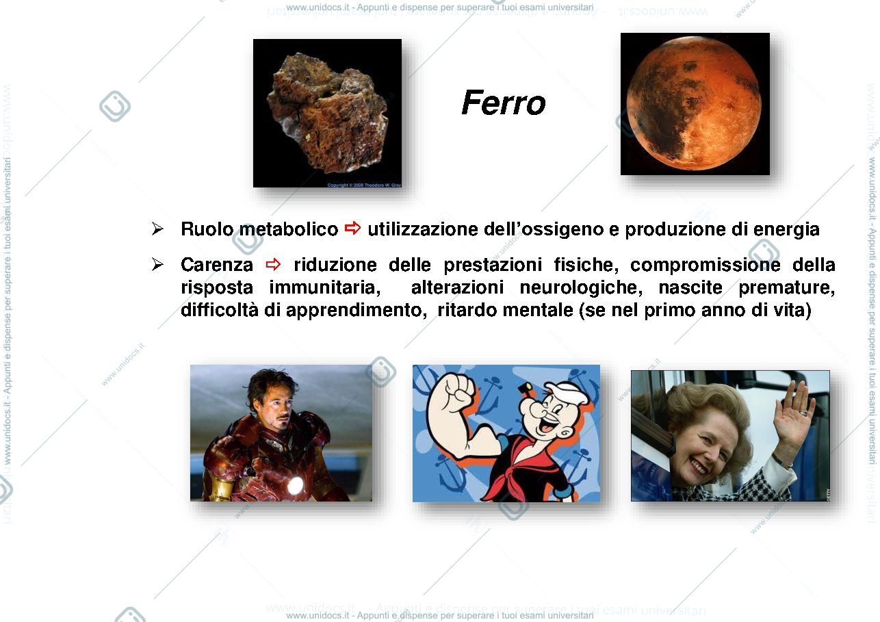 Anteprima pagina 3 — Omeostasi_del_Ferro_e_porfirie