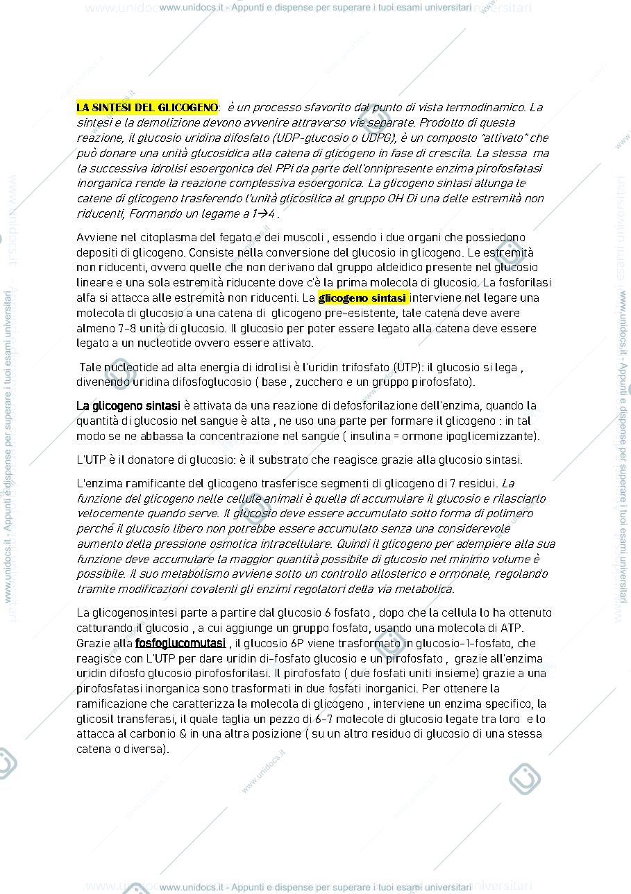 Anteprima pagina 3 — glicogeno
