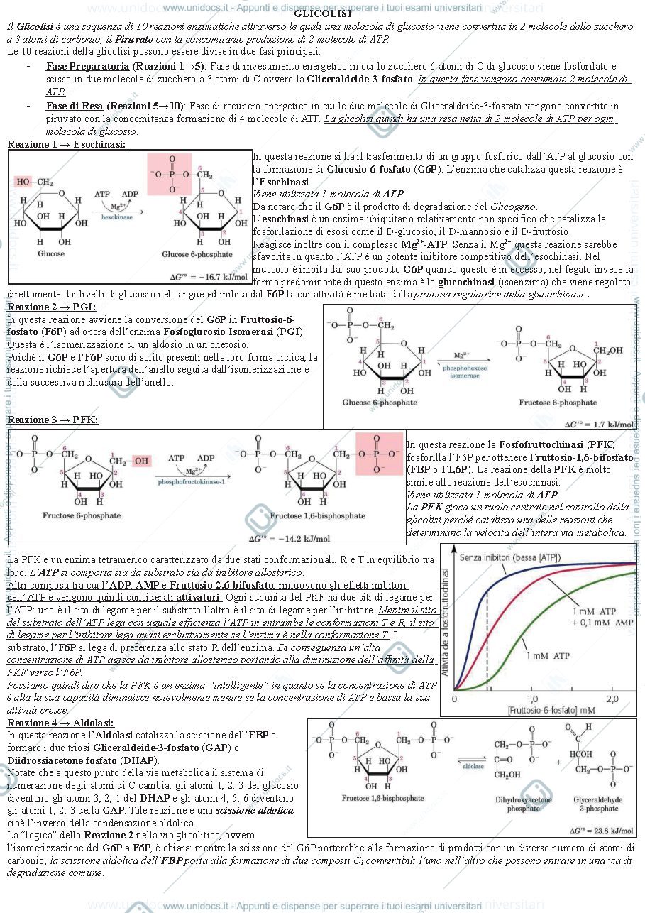 Anteprima pagina 1 — Vie metaboliche