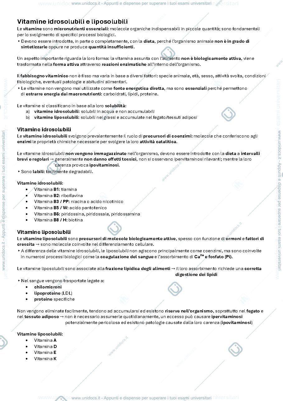 Anteprima pagina 1 — Vitamine idrosolubili