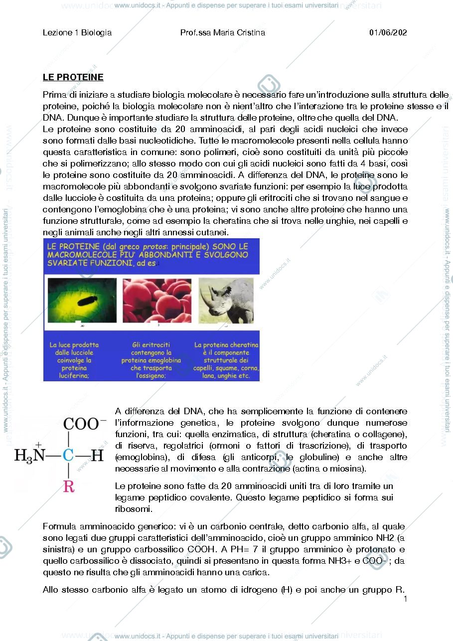 Anteprima pagina 1 — Bio molecolare