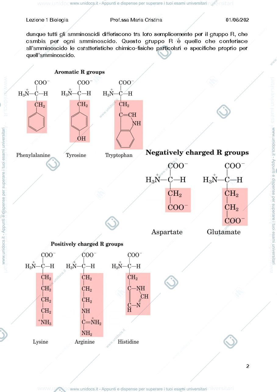 Anteprima pagina 2 — Bio molecolare