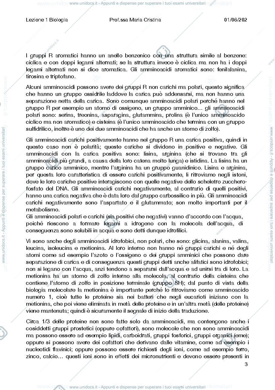 Anteprima pagina 3 — Bio molecolare
